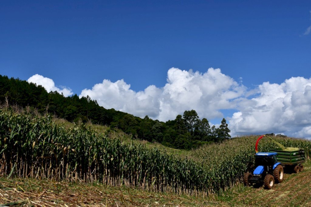 Cinthia Borsatto / Assessoria de Imprensa - 