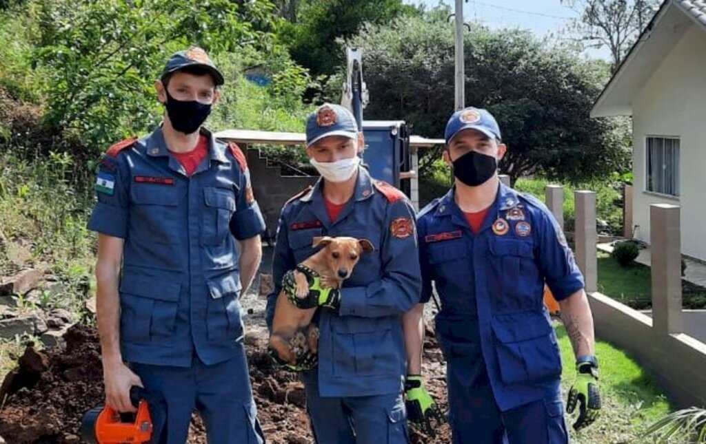 Divulgação/Bombeiros - 