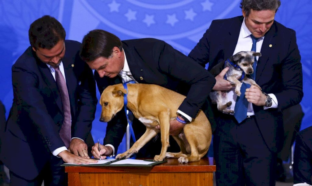 Marcelo Camargo/Agência Brasil - 