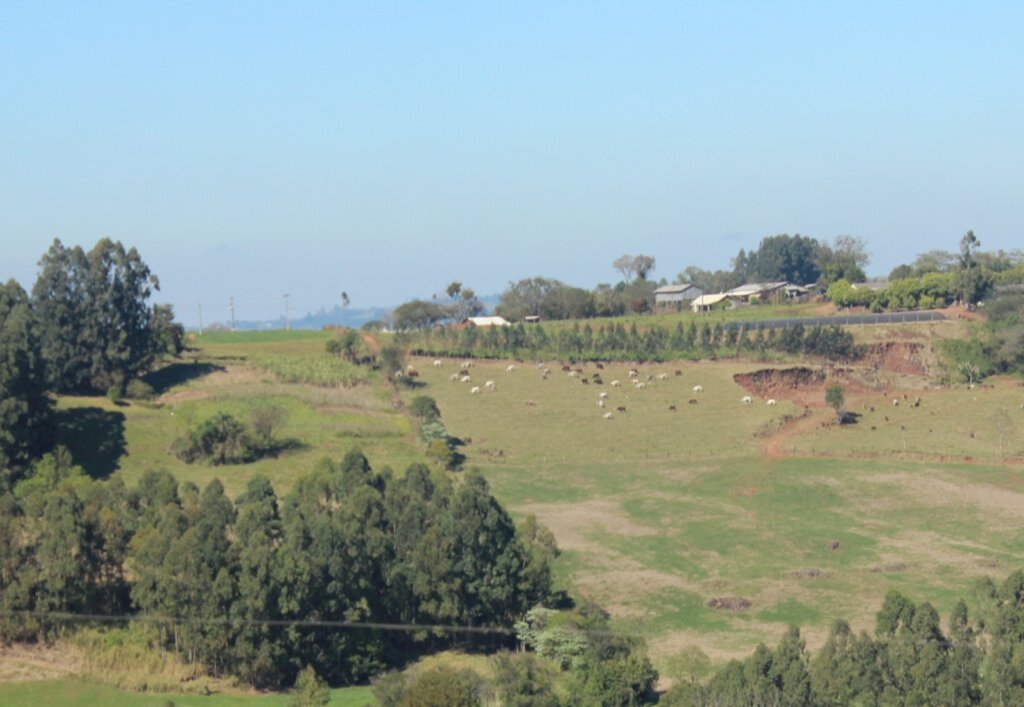 Arquivo Folha do Oeste - 