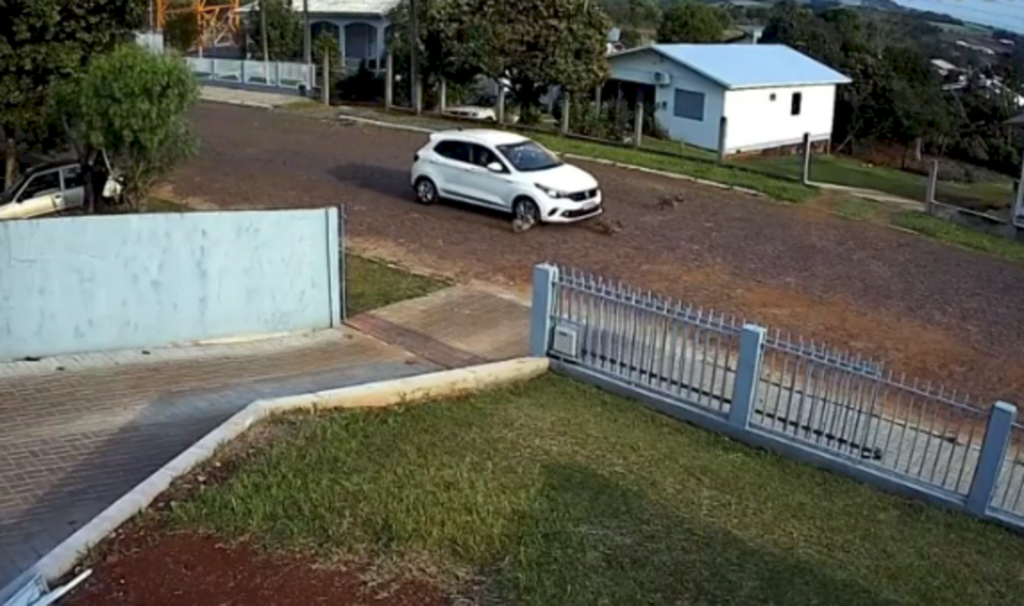 Divulgação / Polícia Civil - 