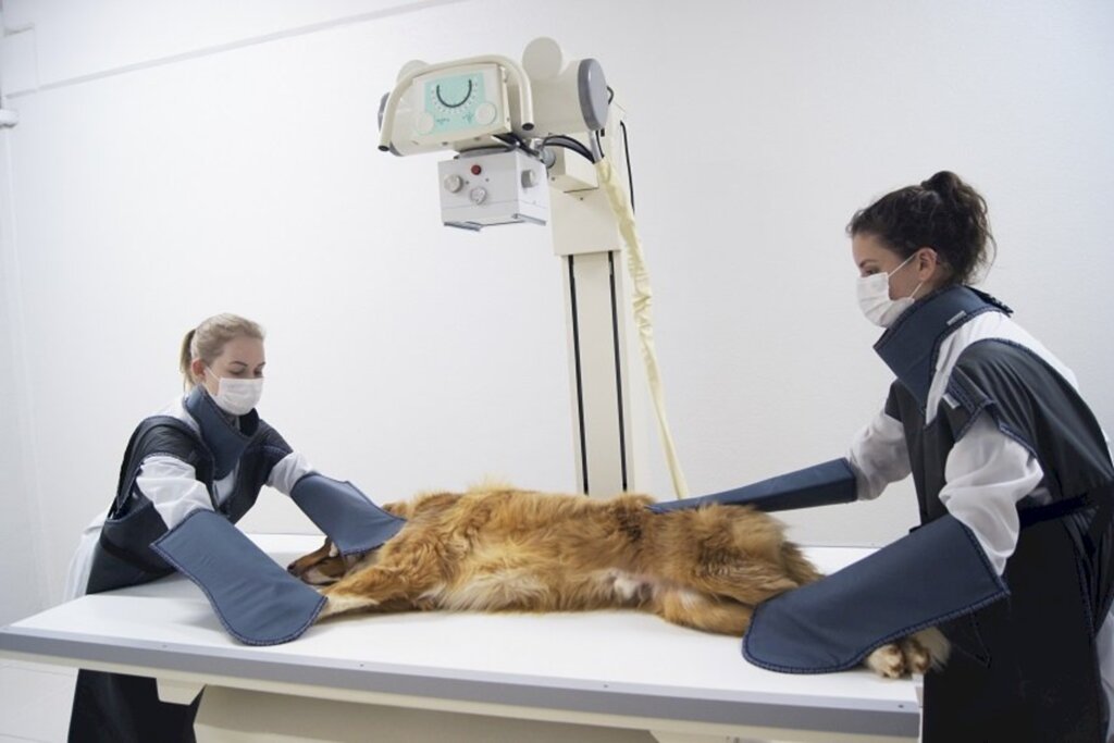 Karine Bender/Ascom Unoesc - 