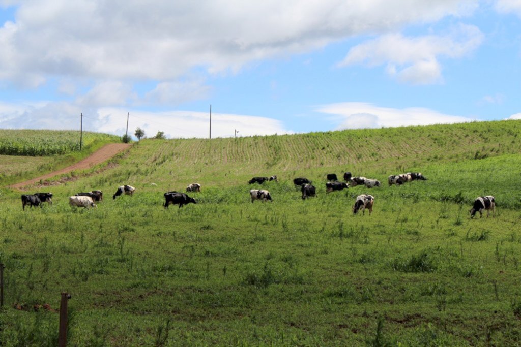 Arquivo Folha do Oeste - 