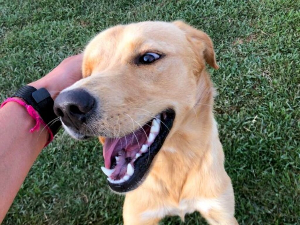 Divulgação / Arquivo / Secom - 