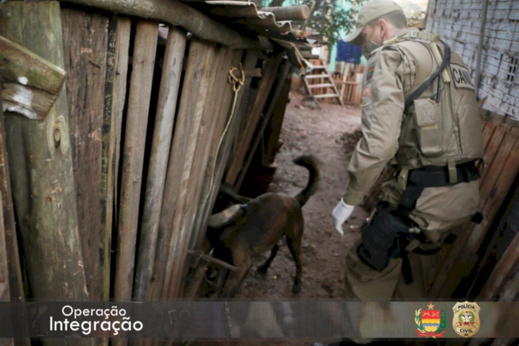 Polícia/Divulgação - 