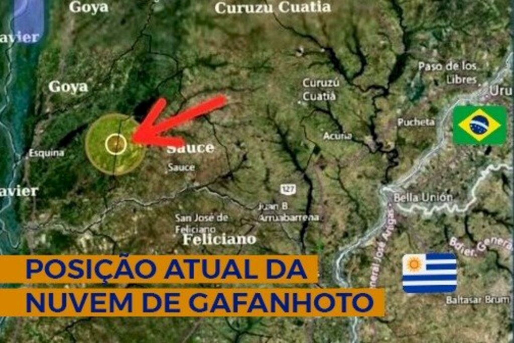 Divulgação/ DCSC - 