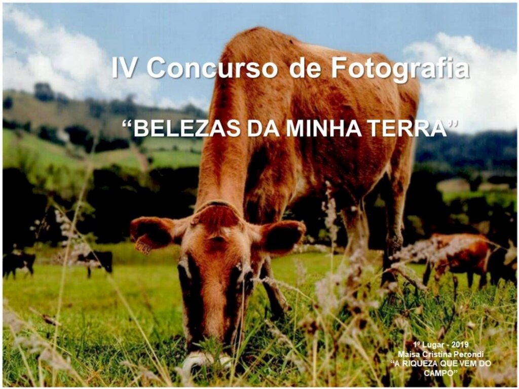 Ascom/ Pref. de S. José do Cedro - 