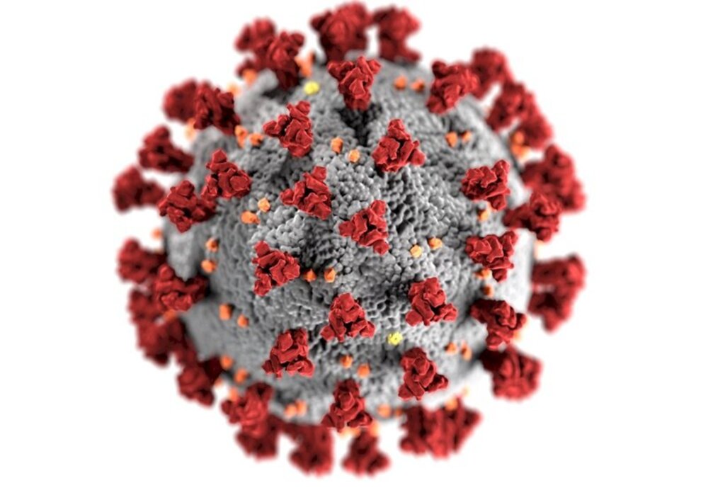 Dos 116 confirmados no município, 102 se recuperaram