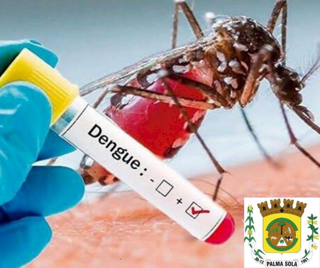 Ascom/ Pref. de Palma Sola - 