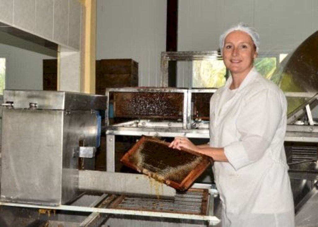 Divulgação/ Epagri - 