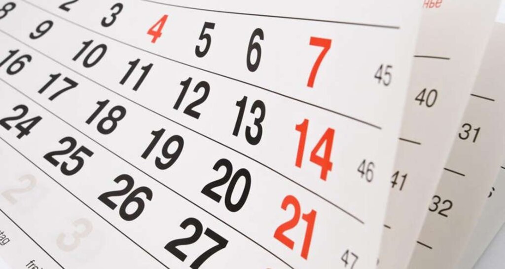 Divulgação/Ilustração - 