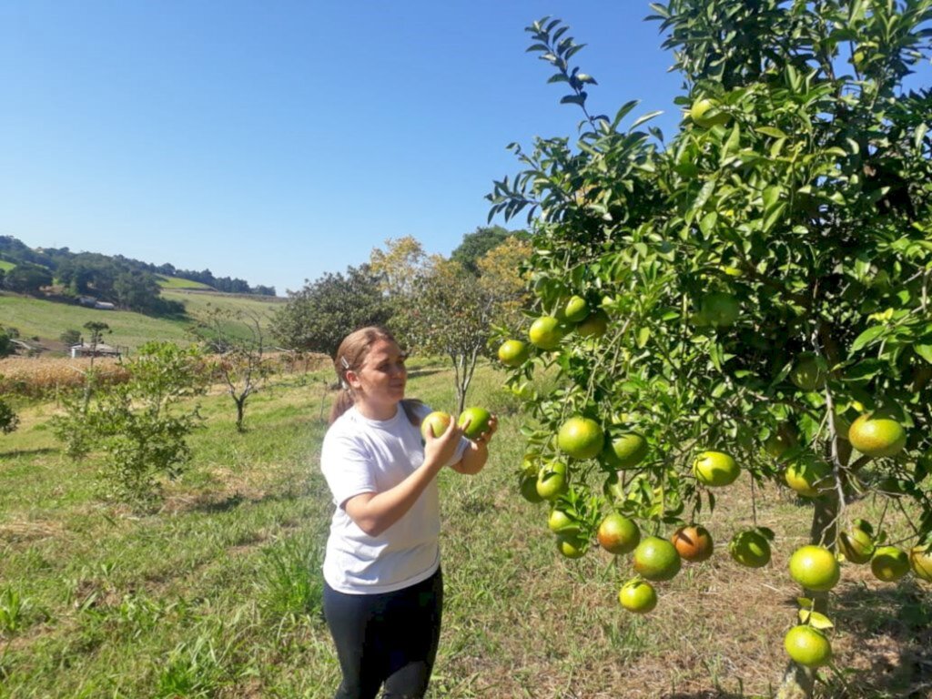 Atividades são mantidas durante pandemia