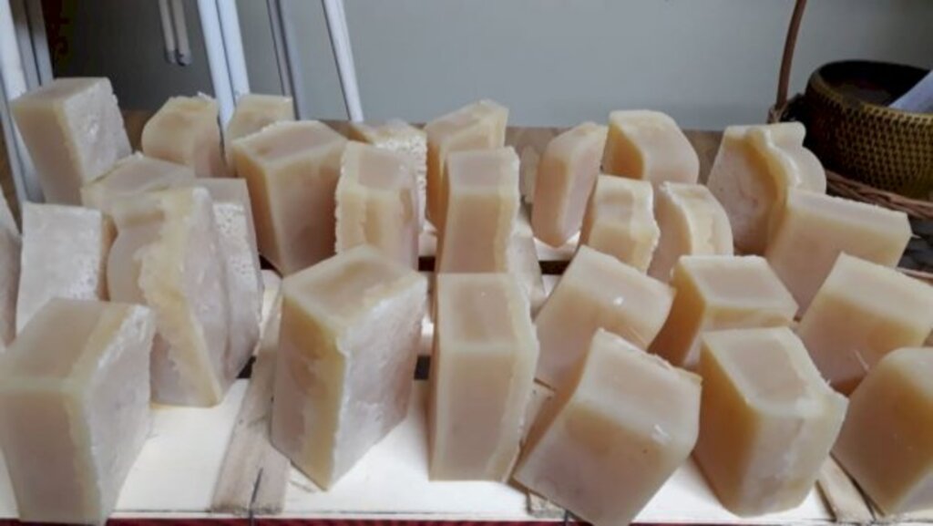 Foto: Divulgação / Epagri - 