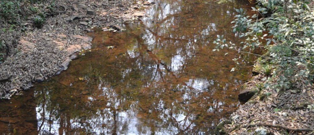 Comitê Rio das Antas emite alerta na região