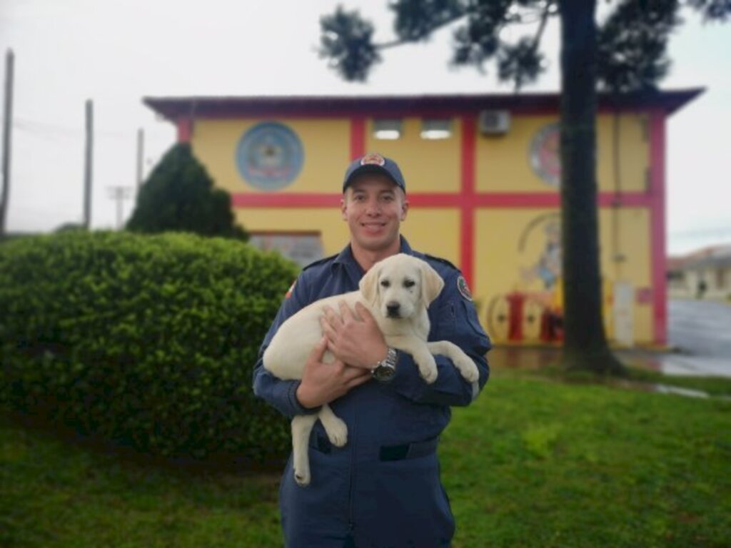 Divulgação / CBMSC - 