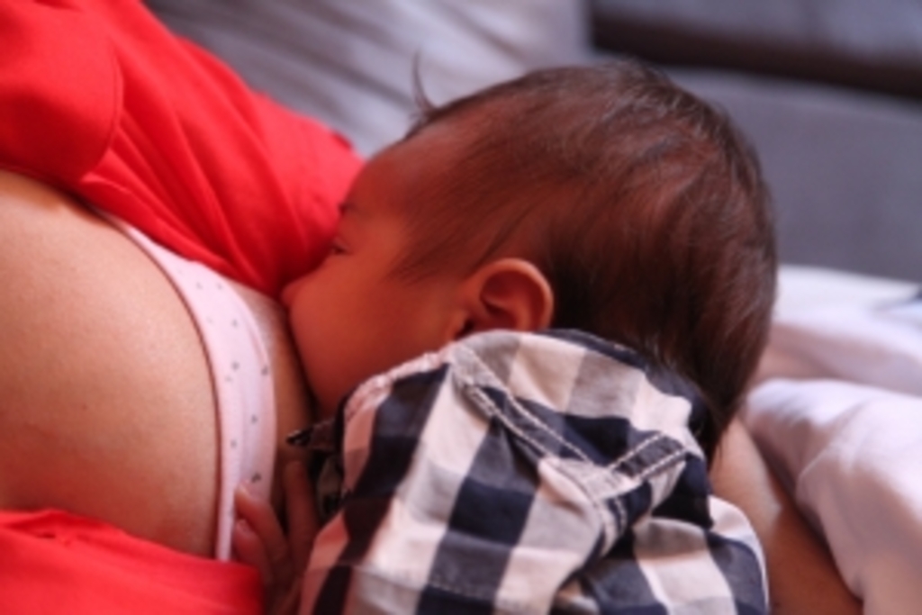 Solon Soares/Agência AL - 