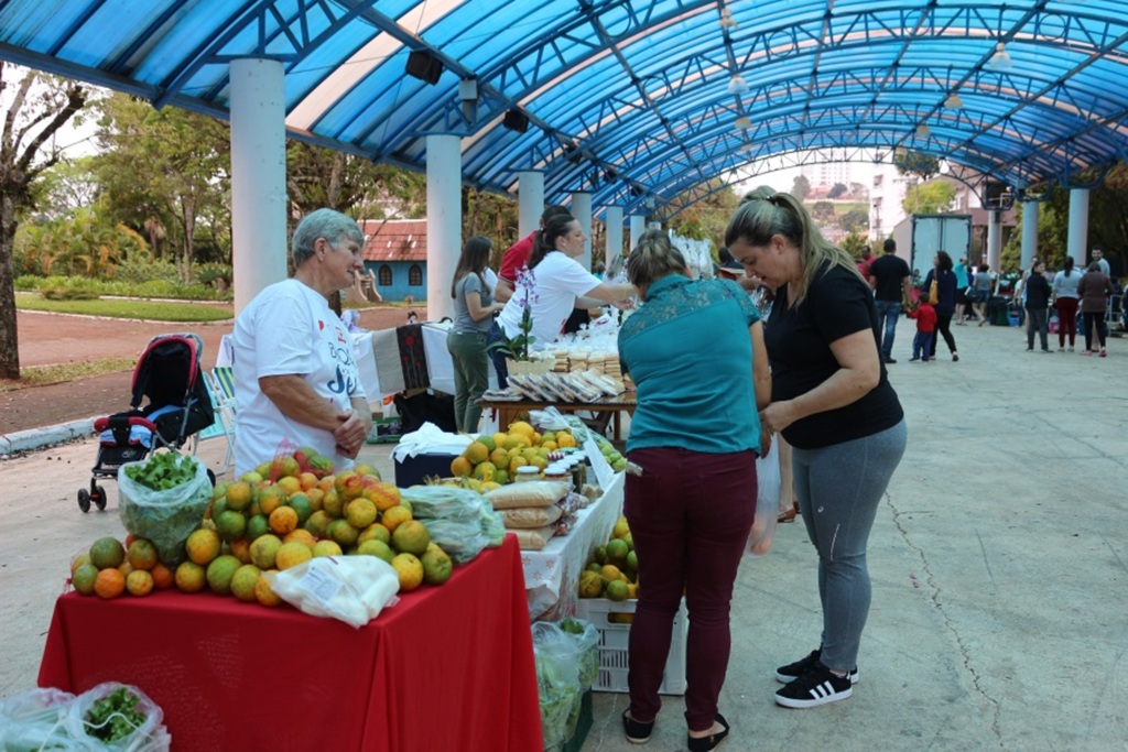 Brique do Sesc acontece neste domingo
