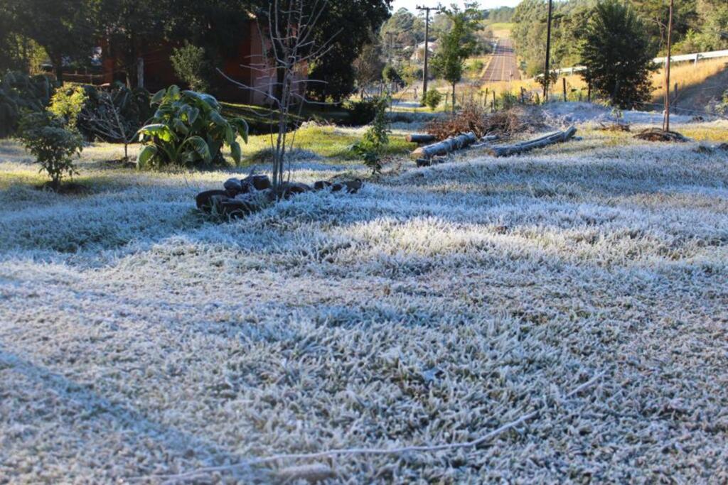 Arquivo Folha do Oeste - 