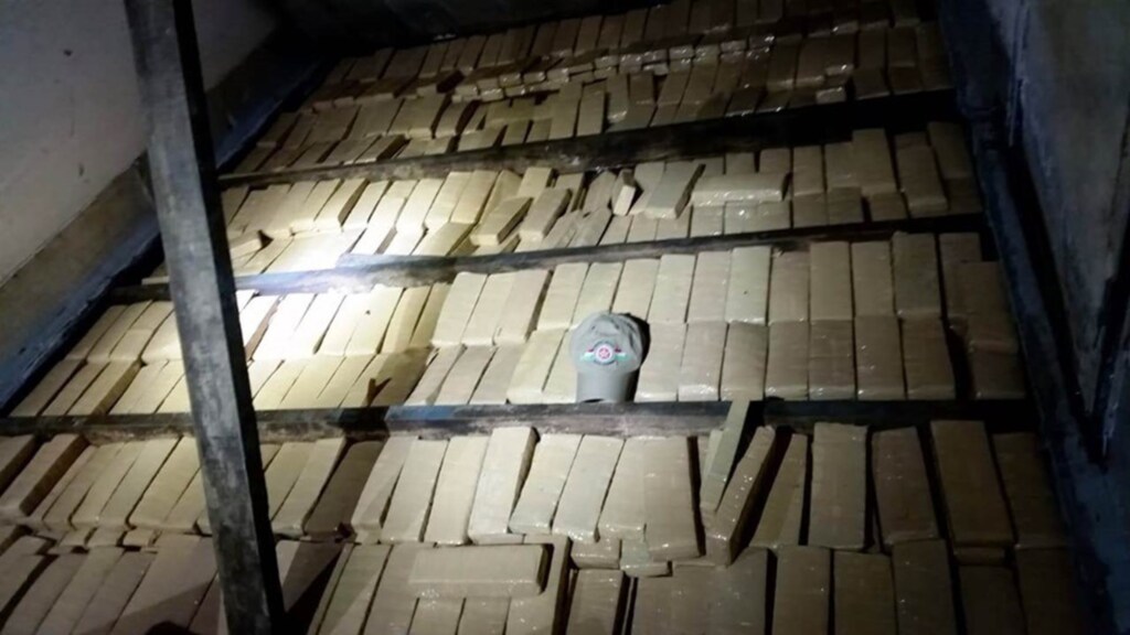 PM apreende mais de meia tonelada de maconha