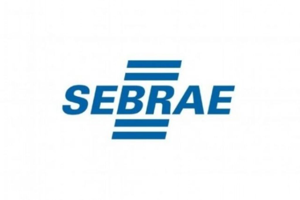 Sebrae disponibiliza consultoria online e gratuita