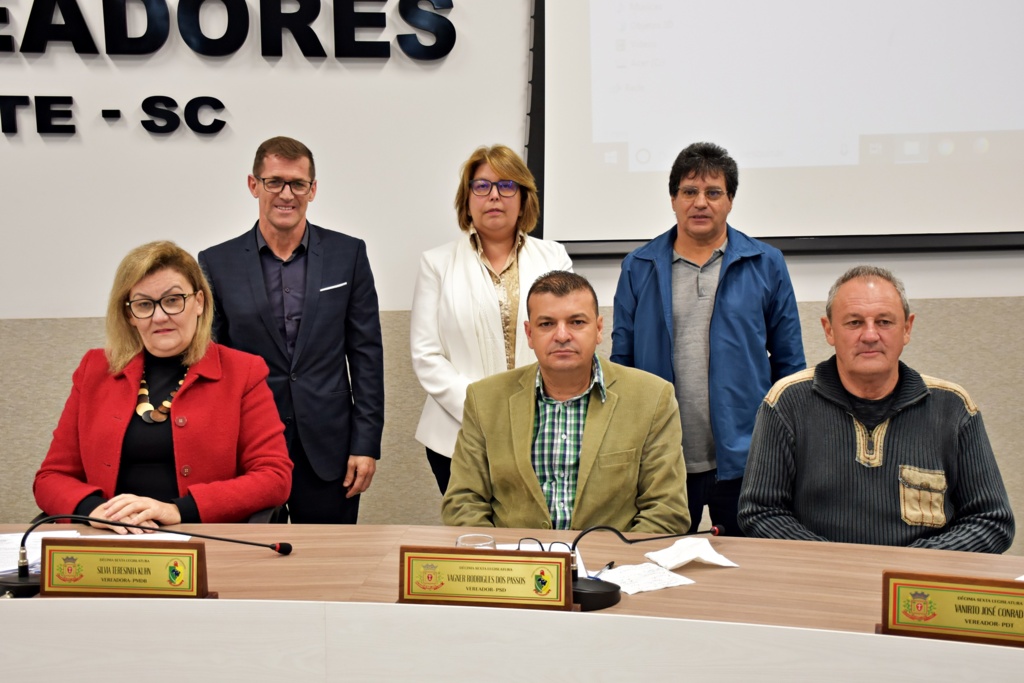 Tiarajú Goldschmidt/Câmara de Vereadores - 