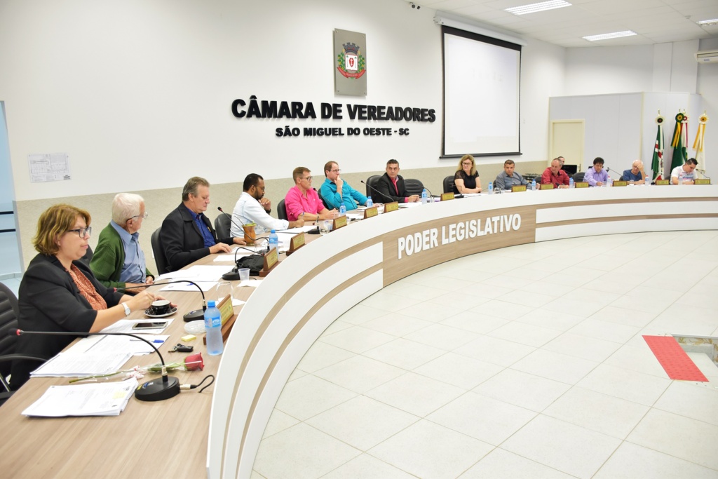 Tiarajú Goldschmidt/Câmara de Vereadores - 