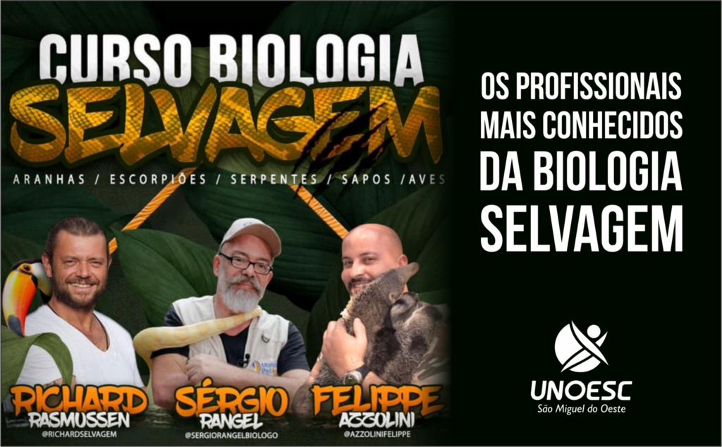Divulgação - 