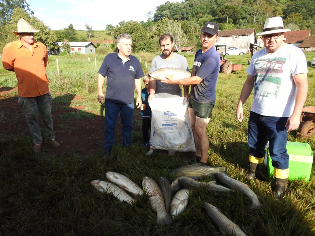 Fotos Divulgação - 