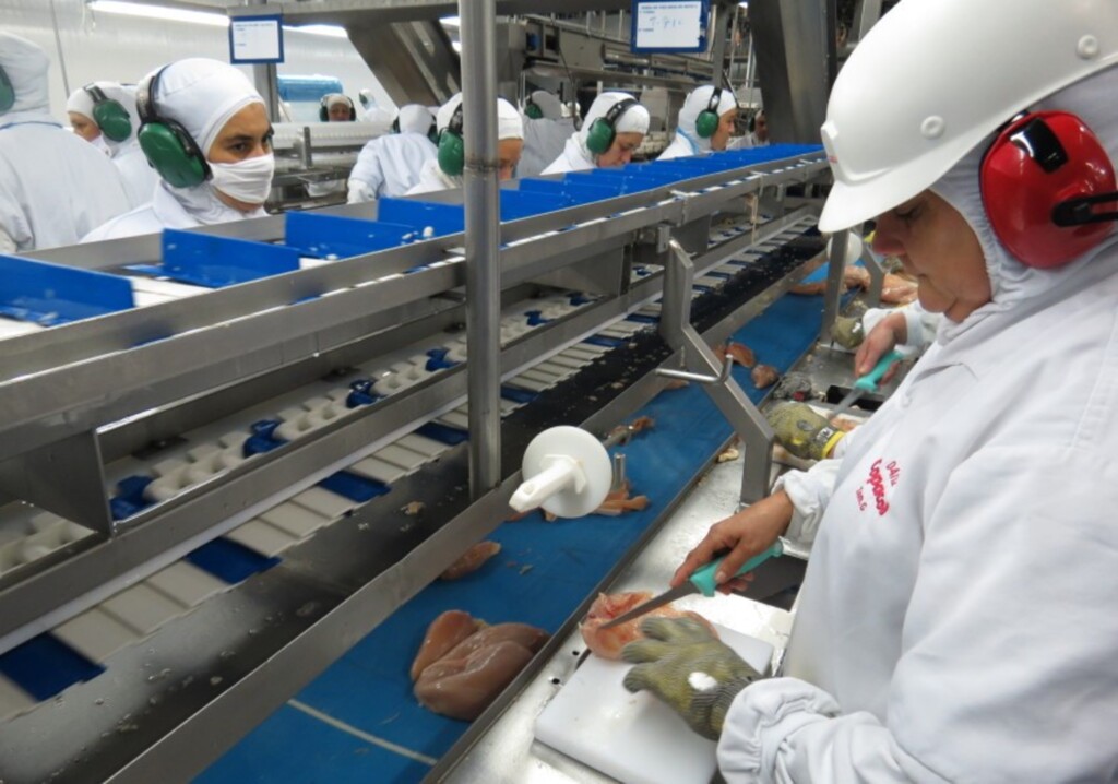 Exportações de carne cresceram 12%