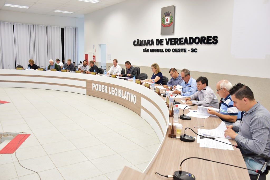 Tiarajú Goldschmidt/Câmara de Vereadores - 