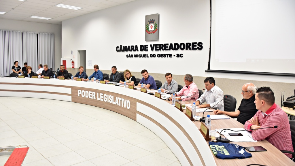 Tiarajú Goldschmidt/Câmara de Vereadores - 