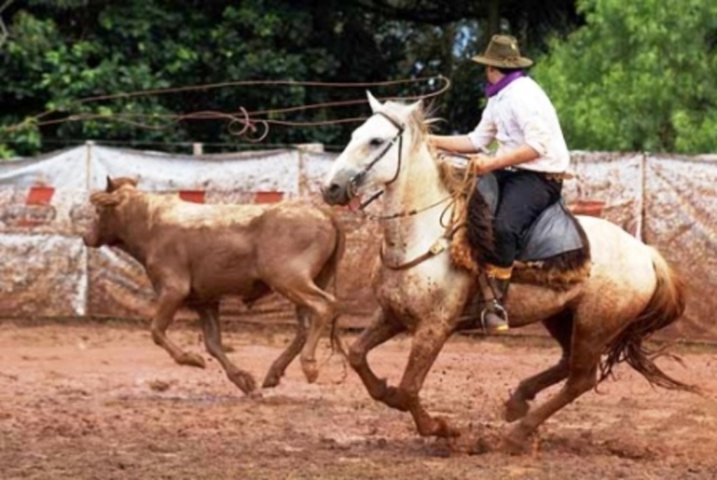 São Miguel Tchê inicia nesta sexta-feira