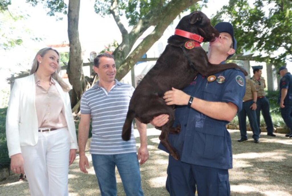 Bombeiros e cães são recebidos pelo governador