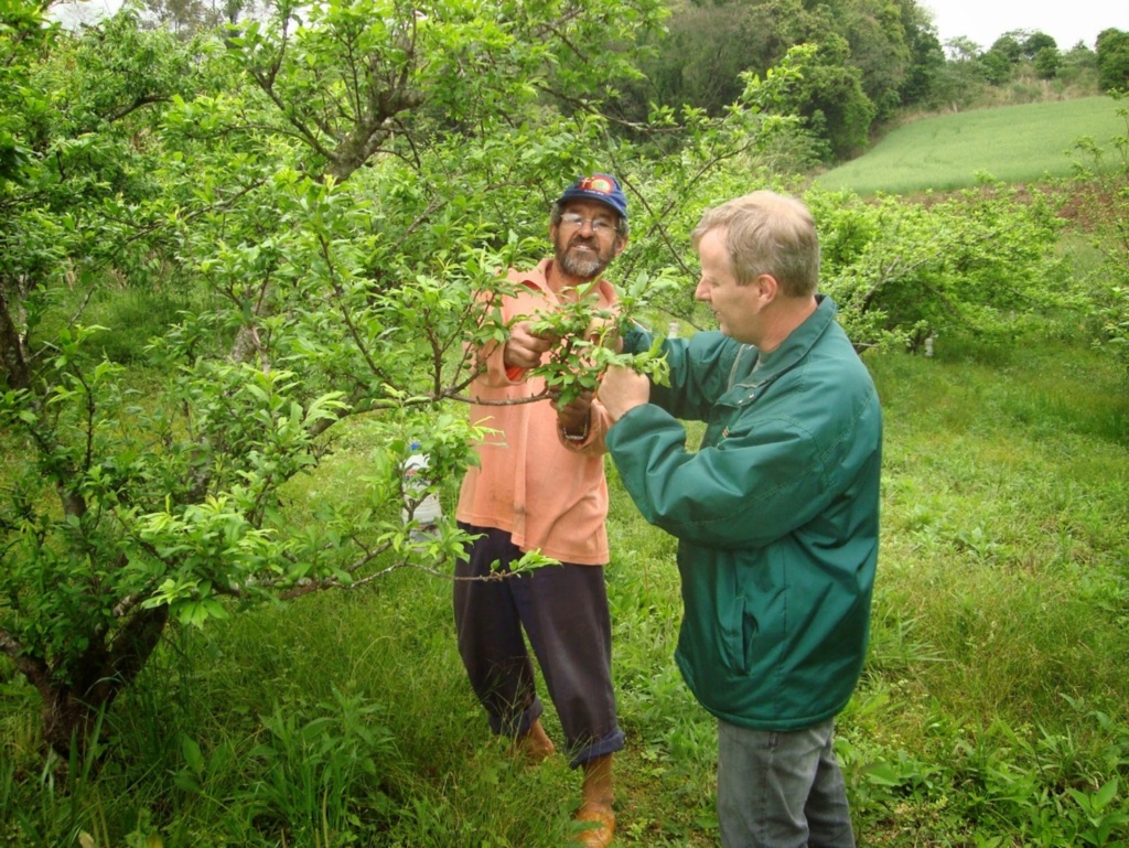 Região tem potencial para a Fruticultura