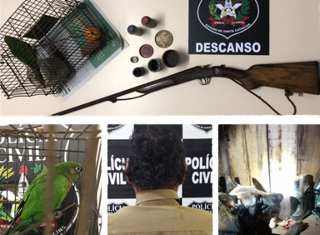 Divulgação - 