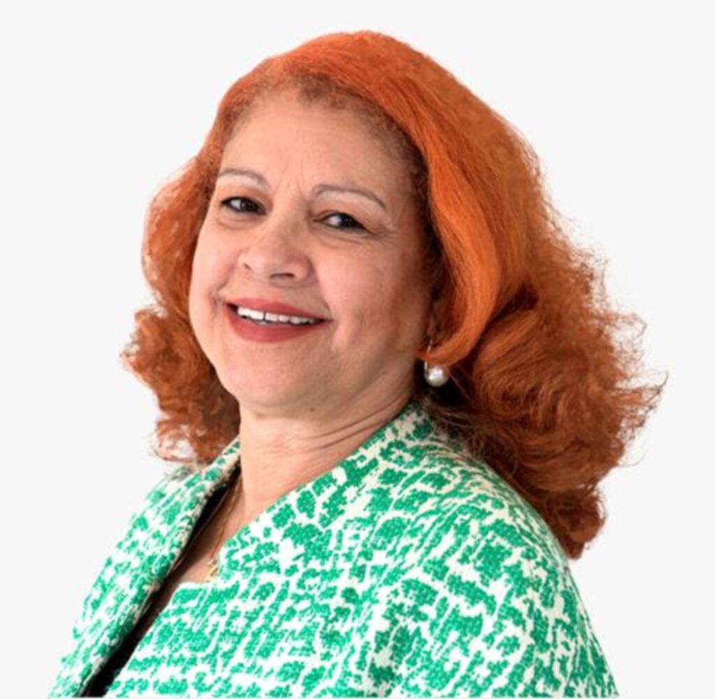 Candidata a vice divulga artigo