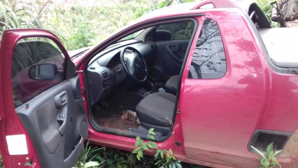 Divulgação - 