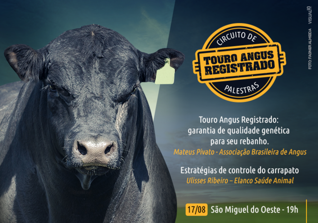 SMOeste recebe hoje circuito sobre Touro Angus