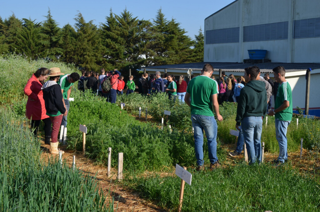 Dia de Campo reúne mais de 700 pessoas