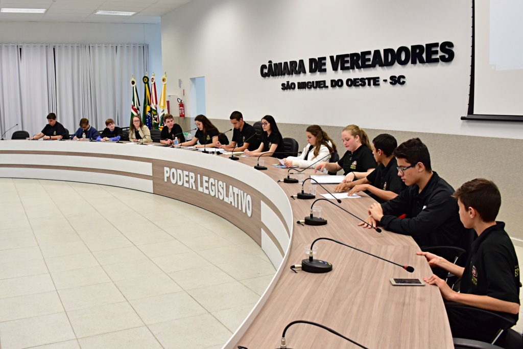 Vereadores mirins pedem obras e informações