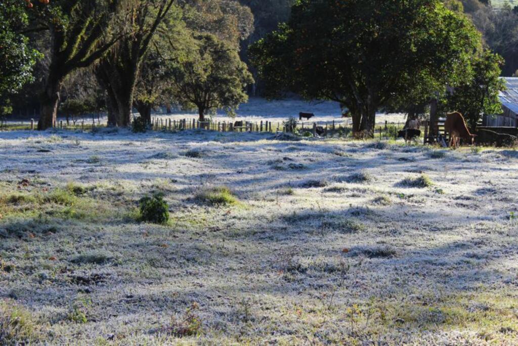 SMOeste registra 4,9 graus nesta madrugada
