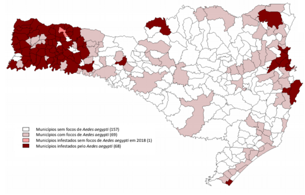 Situação é de alto risco na região devido aos casos de infestação