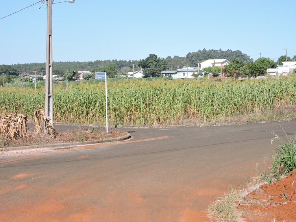 Foto Divulgação - 