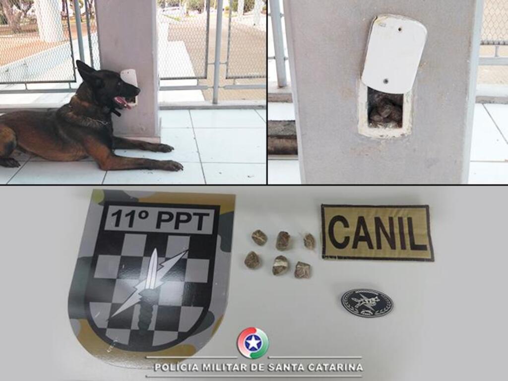 Polícia Militar encontra droga escondida