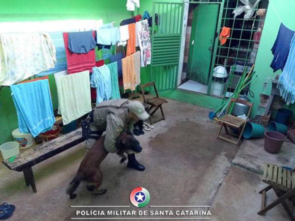 Imagem galeria