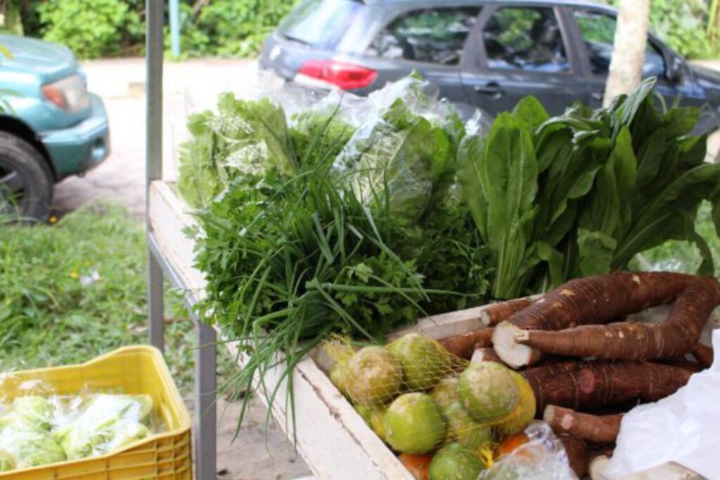 Nicole Barbieri / Cidasc - 