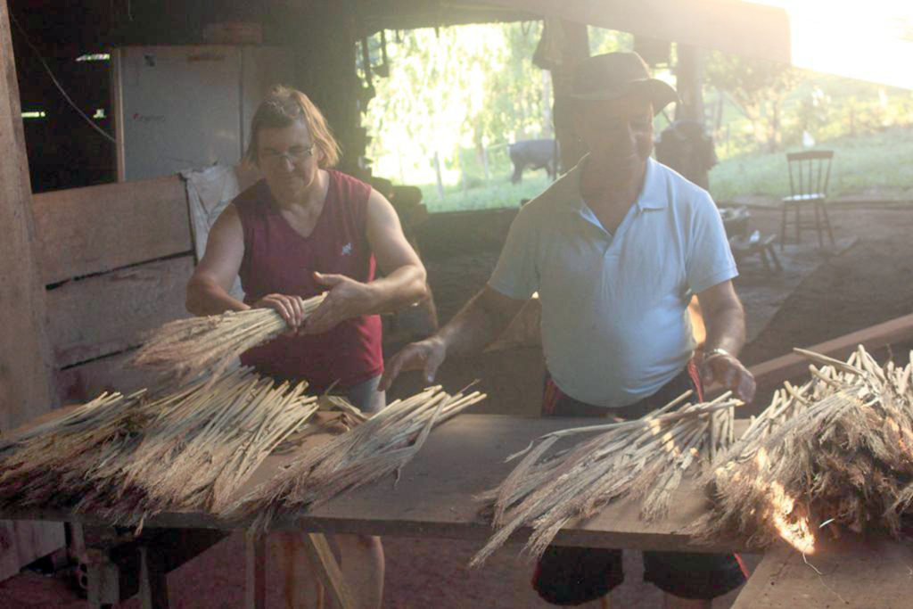 Agricultores apostam na produção de vassouras