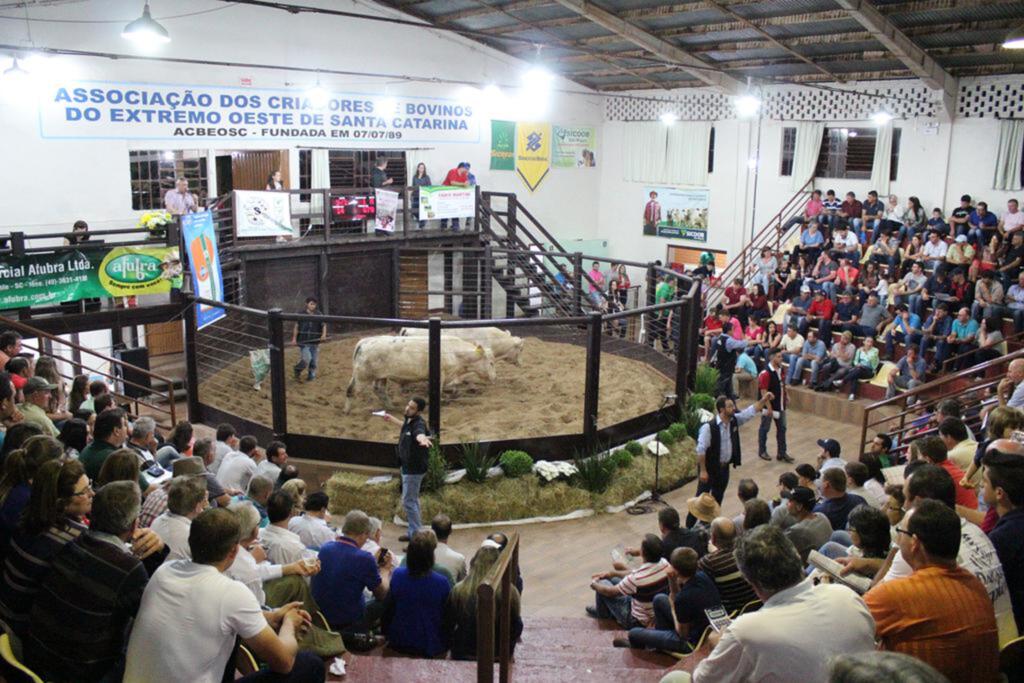 Sábado tem o primeiro Remate de Gado de 2018