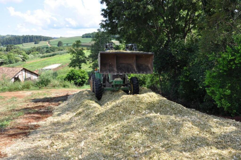 Mais de 250 agricultores foram atendidos pelo programa de silagem
