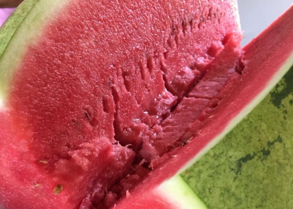 Melancia: a doçura da fruta